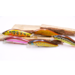 Les meilleurs appâts pour la truite - Conseils de peche